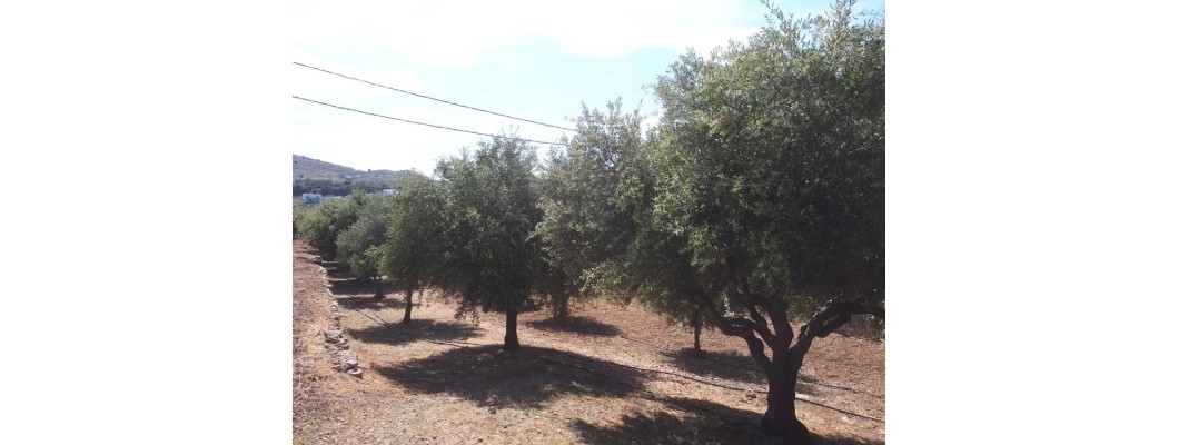 Καλό μήνα Καλό μήνα